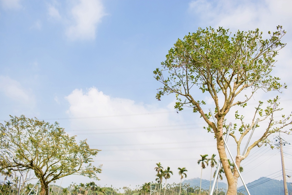 IMG_8492.jpg IMG_8492.jpg