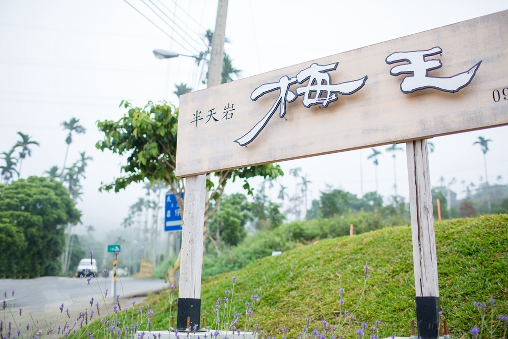 IMG_8747.jpg IMG_8747.jpg