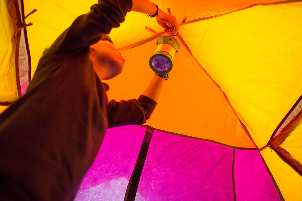 IMG_8894.jpg IMG_8894.jpg