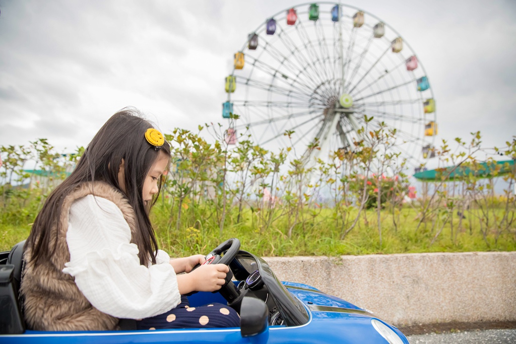 IMG_6517.jpg IMG_6517.jpg