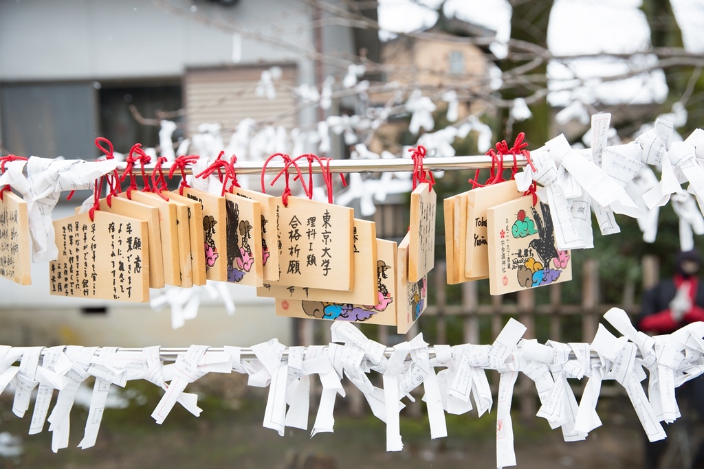 2017-03-08-10h43m45.jpg 2017-03-08-10h43m45.jpg