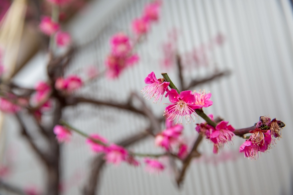 2017-03-08-13h11m49.jpg 2017-03-08-13h11m49.jpg