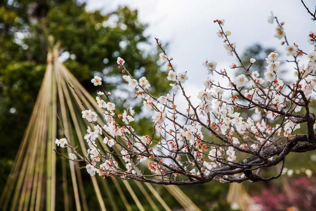 2017-03-08-14h36m54.jpg 2017-03-08-14h36m54.jpg