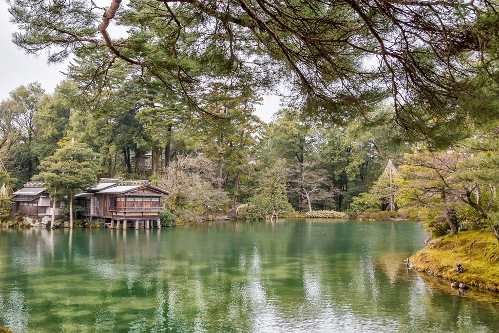 2017-03-08-15h01m25.jpg 2017-03-08-15h01m25.jpg