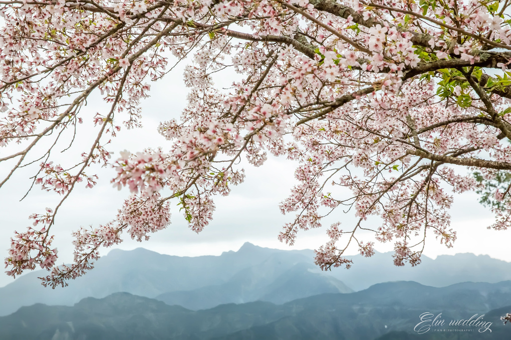 2017-04-06-13h03m40.jpg 2017-04-06-13h03m40.jpg