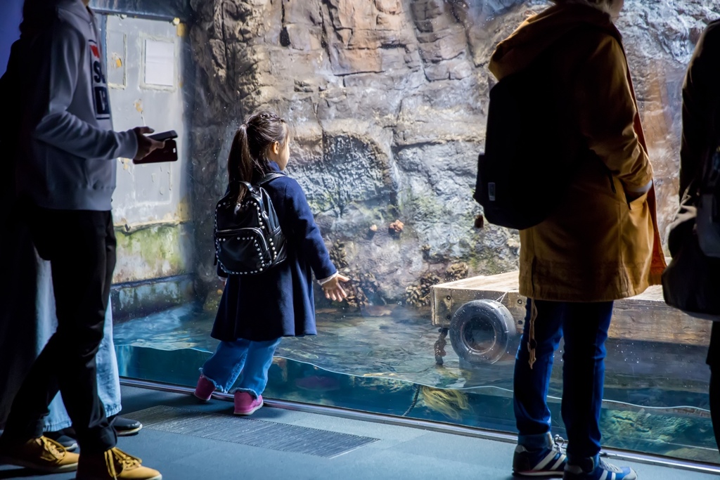 婚攝尹林婚禮,婚攝阿斌師,日本之旅,大阪,聖瑪麗亞號,大阪海遊館,鬼蝠魟,鯨鯊,旅遊拍攝,海外拍攝