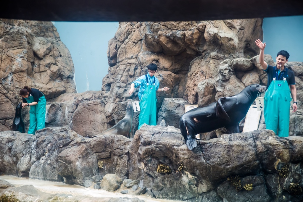 婚攝尹林婚禮,婚攝阿斌師,日本之旅,大阪,聖瑪麗亞號,大阪海遊館,鬼蝠魟,鯨鯊,旅遊拍攝,海外拍攝