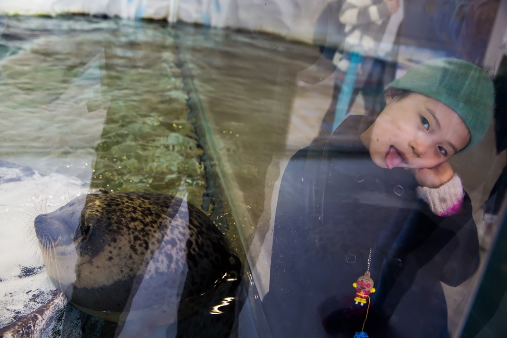 婚攝尹林婚禮,婚攝阿斌師,日本之旅,大阪,聖瑪麗亞號,大阪海遊館,鬼蝠魟,鯨鯊,旅遊拍攝,海外拍攝