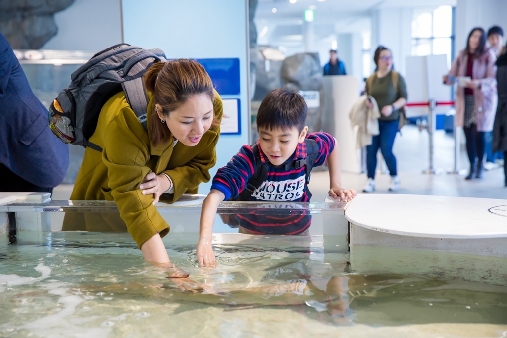 婚攝尹林婚禮,婚攝阿斌師,日本之旅,大阪,聖瑪麗亞號,大阪海遊館,鬼蝠魟,鯨鯊,旅遊拍攝,海外拍攝