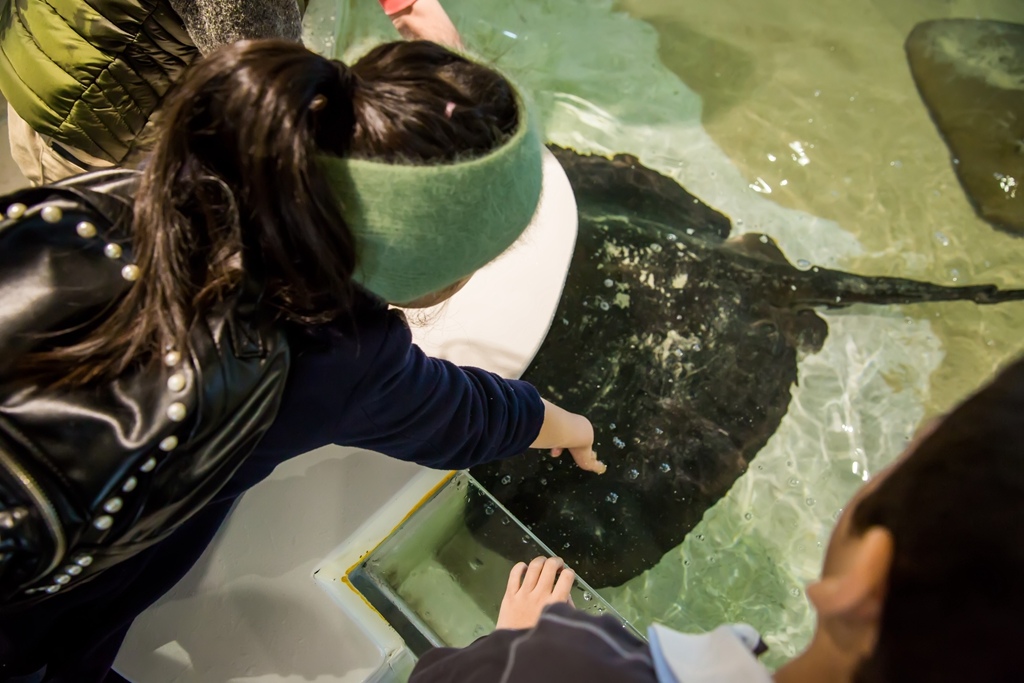 婚攝尹林婚禮,婚攝阿斌師,日本之旅,大阪,聖瑪麗亞號,大阪海遊館,鬼蝠魟,鯨鯊,旅遊拍攝,海外拍攝
