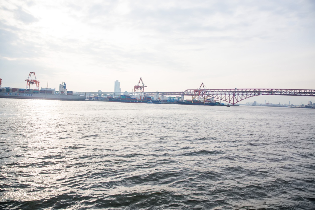 婚攝尹林婚禮,婚攝阿斌師,日本之旅,大阪,聖瑪麗亞號,大阪海遊館,鬼蝠魟,鯨鯊,旅遊拍攝,海外拍攝