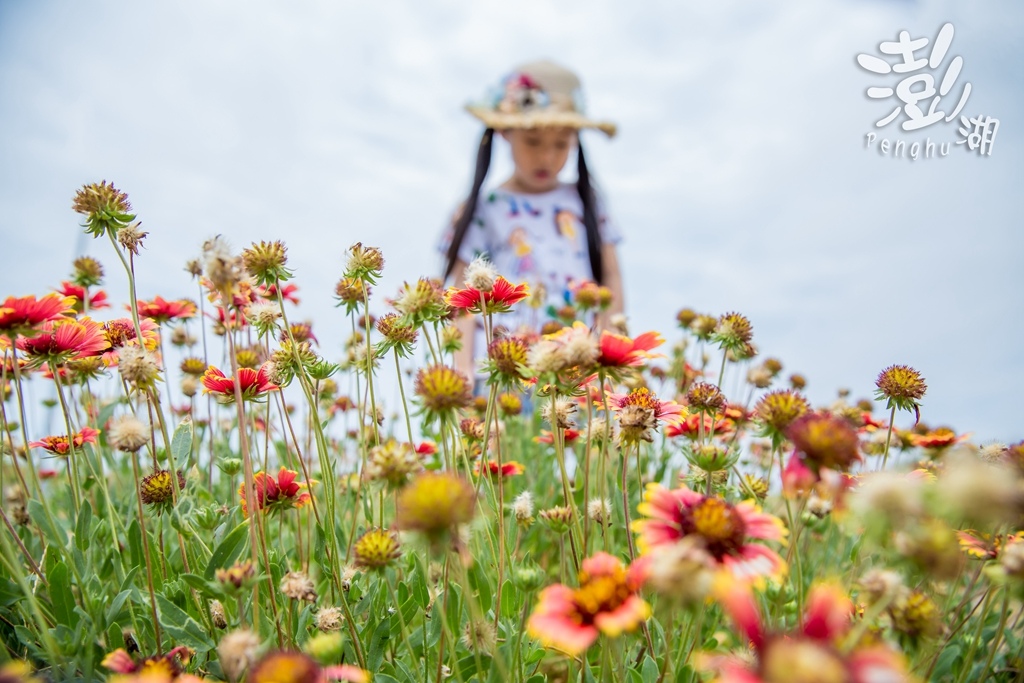 澎湖旅遊拍攝,旅遊拍攝,攝影師,專業拍照,澎湖行程規劃,旅拍,尹林全家福拍攝,阿斌師, 風櫃洞,花火節,東吉島,南方四島國家公園,七美,望安,馬公,天后宮,四眼井,二崁古厝,跨海大橋,澎湖攝影師,西嶼鄉,海龜,漁翁島,仙人掌冰,山水沙灘,塔公塔婆,玄武岩,大菓葉 澎湖旅遊拍攝,旅遊拍攝,攝影師,專業拍照,澎湖行程規劃,旅拍,尹林全家福拍攝,阿斌師, 風櫃洞,花火節,東吉島,南方四島國家公園,七美,望安,馬公,天后宮,四眼井,二崁古厝,跨海大橋,澎湖攝影師,西嶼鄉,海龜,漁翁島,仙人掌冰,山水沙灘,塔公塔婆,玄武岩,大菓葉