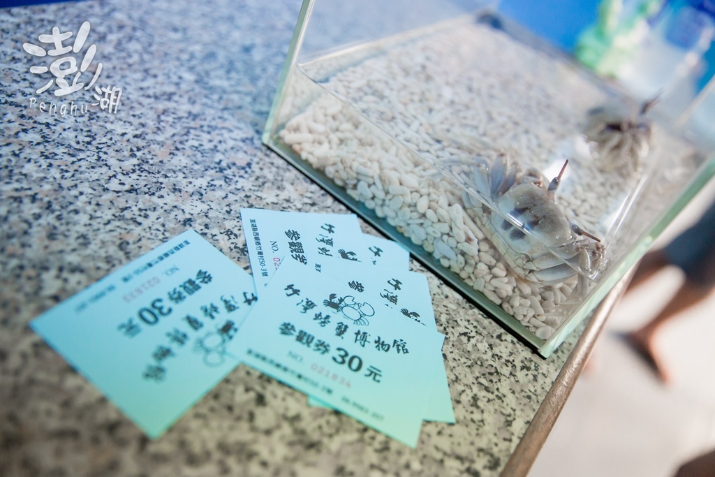 澎湖旅遊拍攝,旅遊拍攝,攝影師,專業拍照,澎湖行程規劃,旅拍,尹林全家福拍攝,阿斌師, 風櫃洞,花火節,東吉島,南方四島國家公園,七美,望安,馬公,天后宮,四眼井,二崁古厝,跨海大橋,澎湖攝影師,西嶼鄉,海龜,漁翁島,仙人掌冰,山水沙灘,塔公塔婆,玄武岩,大菓葉