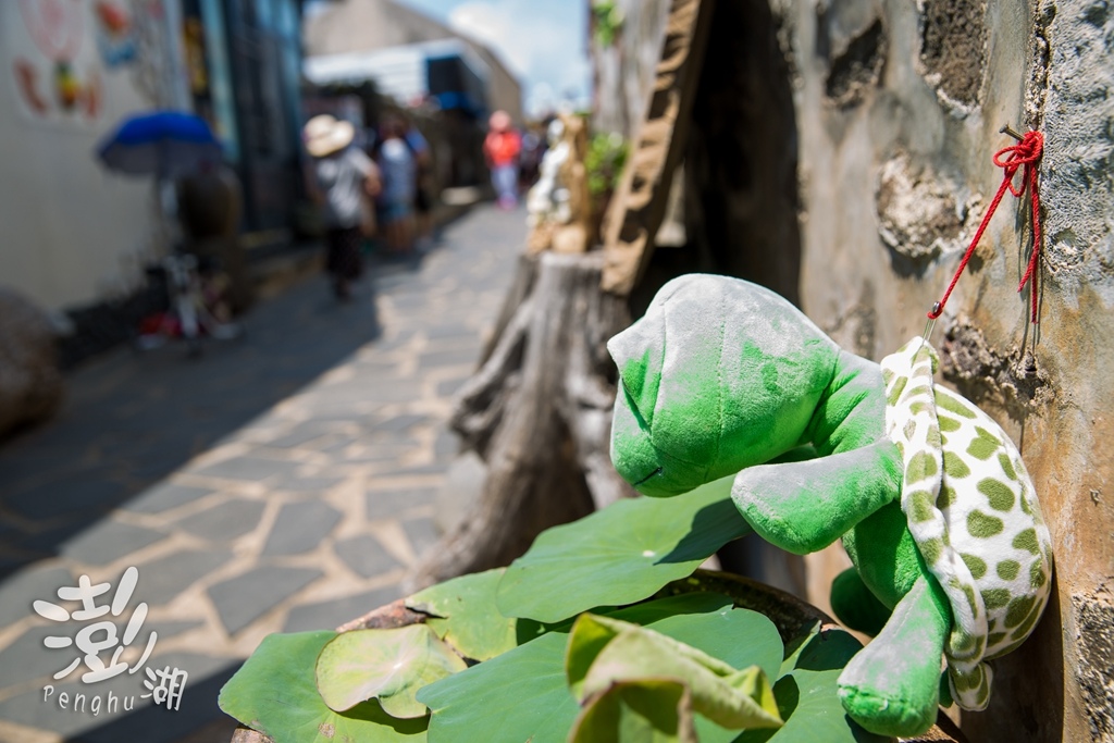 澎湖旅遊拍攝,旅遊拍攝,攝影師,專業拍照,澎湖行程規劃,旅拍,尹林全家福拍攝,澎湖婚攝,阿斌師, 風櫃洞,花火節,東吉島,南方四島國家公園,七美,望安,馬公,天后宮,四眼井,二崁古厝,跨海大橋,澎湖攝影師,西嶼鄉,海龜,漁翁島,仙人掌冰,山水沙灘,塔公塔婆,玄武岩,大菓葉 澎湖旅遊拍攝,旅遊拍攝,攝影師,專業拍照,澎湖行程規劃,旅拍,尹林全家福拍攝,澎湖婚攝,阿斌師, 風櫃洞,花火節,東吉島,南方四島國家公園,七美,望安,馬公,天后宮,四眼井,二崁古厝,跨海大橋,澎湖攝影師,西嶼鄉,海龜,漁翁島,仙人掌冰,山水沙灘,塔公塔婆,玄武岩,大菓葉