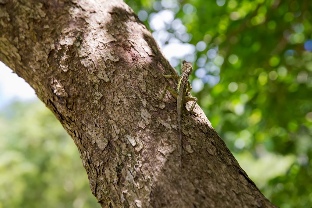畢業拍照,畢業錄影,尹林兒童,阿斌師,兒童攝影,兒童寫真,台南兒童攝影,台南兒童寫真,高雄兒童寫真,南部兒童攝影,高雄兒童攝影, 屏東兒童攝影,屏東兒童寫真,拍寶寶,滿月拍,抓周,拍小孩,寶寶童話,全家福,到府拍攝,大同幼兒園,戶外,親子寫真,高CP值