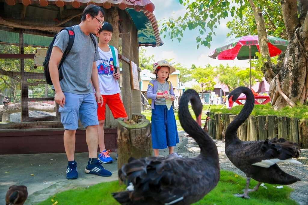 【兒童攝影 | 台南頑皮世界 】 踏青旅遊 By 阿斌師 ,尹林兒童,阿斌師,台南兒童攝影,台南兒童寫真,高雄兒童寫真,南部兒童攝影,高雄兒童攝影, 屏東兒童攝影,屏東兒童寫真,頑皮世界,戶外,親子寫真