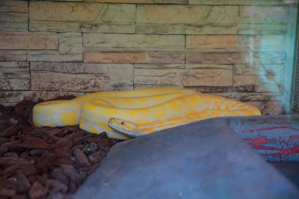 【兒童攝影 | 台南頑皮世界 】 踏青旅遊 By 阿斌師 ,尹林兒童,阿斌師,台南兒童攝影,台南兒童寫真,高雄兒童寫真,南部兒童攝影,高雄兒童攝影, 屏東兒童攝影,屏東兒童寫真,頑皮世界,戶外,親子寫真