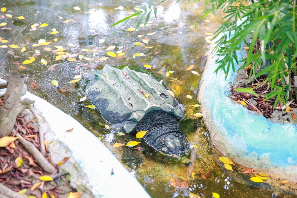 【兒童攝影 | 台南頑皮世界 】 踏青旅遊 By 阿斌師 ,尹林兒童,阿斌師,台南兒童攝影,台南兒童寫真,高雄兒童寫真,南部兒童攝影,高雄兒童攝影, 屏東兒童攝影,屏東兒童寫真,頑皮世界,戶外,親子寫真