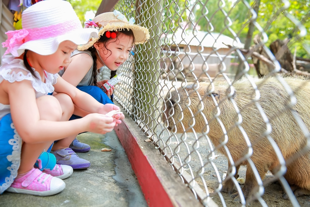 【兒童攝影 | 台南頑皮世界 】 踏青旅遊 By 阿斌師 ,尹林兒童,阿斌師,台南兒童攝影,台南兒童寫真,高雄兒童寫真,南部兒童攝影,高雄兒童攝影, 屏東兒童攝影,屏東兒童寫真,頑皮世界,戶外,親子寫真