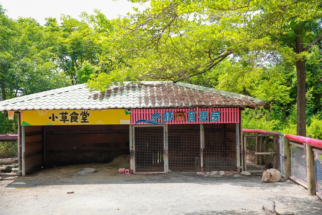 【兒童攝影 | 台南頑皮世界 】 踏青旅遊 By 阿斌師 ,尹林兒童,阿斌師,台南兒童攝影,台南兒童寫真,高雄兒童寫真,南部兒童攝影,高雄兒童攝影, 屏東兒童攝影,屏東兒童寫真,頑皮世界,戶外,親子寫真