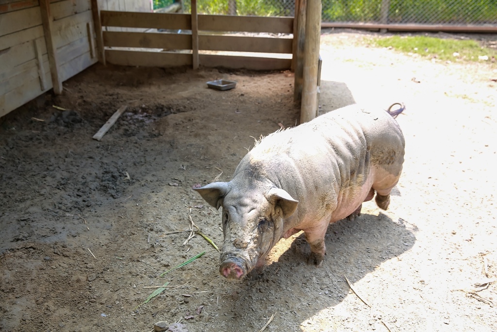 【兒童攝影 | 台南頑皮世界 】 踏青旅遊 By 阿斌師 ,尹林兒童,阿斌師,台南兒童攝影,台南兒童寫真,高雄兒童寫真,南部兒童攝影,高雄兒童攝影, 屏東兒童攝影,屏東兒童寫真,頑皮世界,戶外,親子寫真