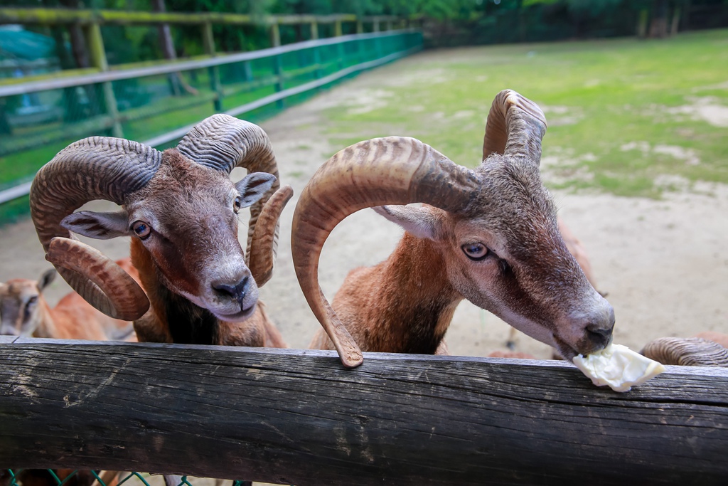 【兒童攝影 | 台南頑皮世界 】 踏青旅遊 By 阿斌師 ,尹林兒童,阿斌師,台南兒童攝影,台南兒童寫真,高雄兒童寫真,南部兒童攝影,高雄兒童攝影, 屏東兒童攝影,屏東兒童寫真,頑皮世界,戶外,親子寫真
