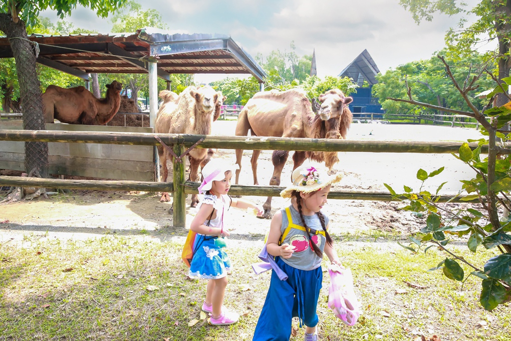 【兒童攝影 | 台南頑皮世界 】 踏青旅遊 By 阿斌師 ,尹林兒童,阿斌師,台南兒童攝影,台南兒童寫真,高雄兒童寫真,南部兒童攝影,高雄兒童攝影, 屏東兒童攝影,屏東兒童寫真,頑皮世界,戶外,親子寫真