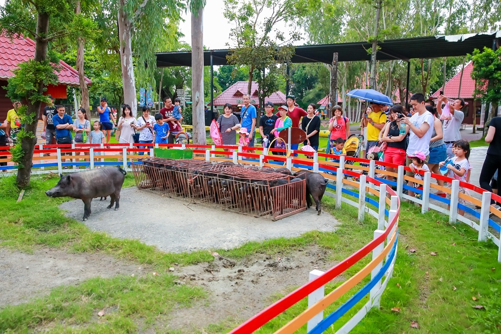 【兒童攝影 | 台南頑皮世界 】 踏青旅遊 By 阿斌師 ,尹林兒童,阿斌師,台南兒童攝影,台南兒童寫真,高雄兒童寫真,南部兒童攝影,高雄兒童攝影, 屏東兒童攝影,屏東兒童寫真,頑皮世界,戶外,親子寫真