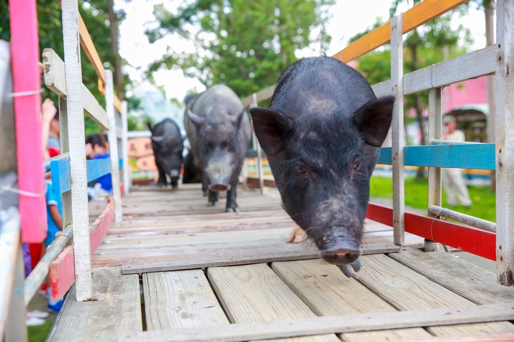 【兒童攝影 | 台南頑皮世界 】 踏青旅遊 By 阿斌師 ,尹林兒童,阿斌師,台南兒童攝影,台南兒童寫真,高雄兒童寫真,南部兒童攝影,高雄兒童攝影, 屏東兒童攝影,屏東兒童寫真,頑皮世界,戶外,親子寫真