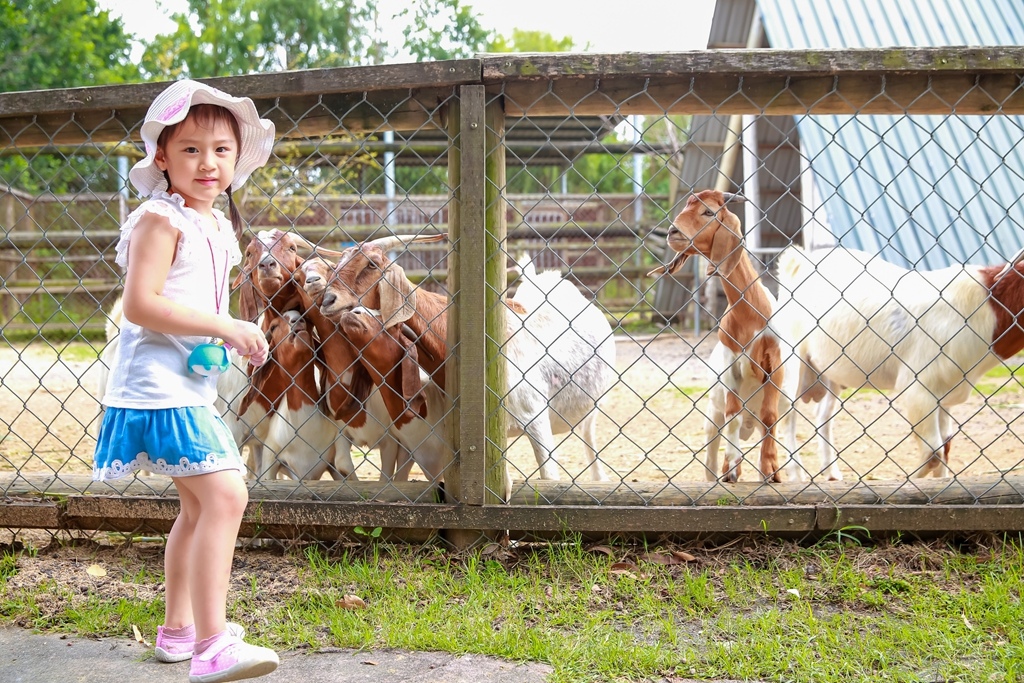 【兒童攝影 | 台南頑皮世界 】 踏青旅遊 By 阿斌師 ,尹林兒童,阿斌師,台南兒童攝影,台南兒童寫真,高雄兒童寫真,南部兒童攝影,高雄兒童攝影, 屏東兒童攝影,屏東兒童寫真,頑皮世界,戶外,親子寫真