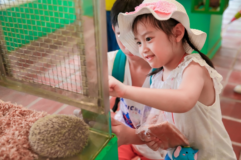 【兒童攝影 | 台南頑皮世界 】 踏青旅遊 By 阿斌師 ,尹林兒童,阿斌師,台南兒童攝影,台南兒童寫真,高雄兒童寫真,南部兒童攝影,高雄兒童攝影, 屏東兒童攝影,屏東兒童寫真,頑皮世界,戶外,親子寫真