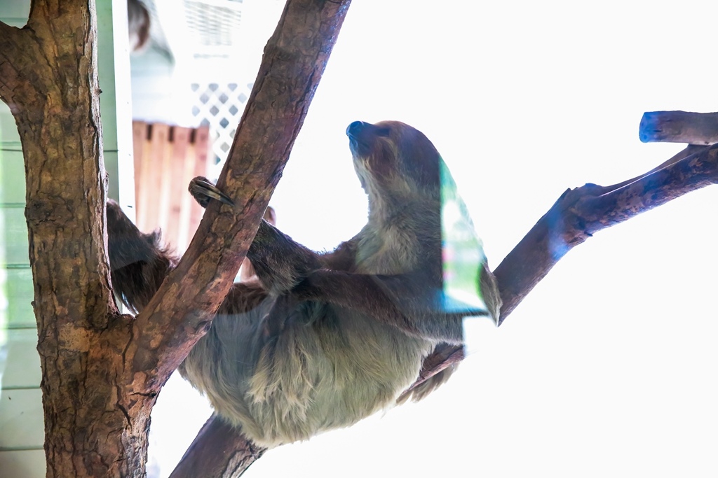 【兒童攝影 | 台南頑皮世界 】 踏青旅遊 By 阿斌師 ,尹林兒童,阿斌師,台南兒童攝影,台南兒童寫真,高雄兒童寫真,南部兒童攝影,高雄兒童攝影, 屏東兒童攝影,屏東兒童寫真,頑皮世界,戶外,親子寫真