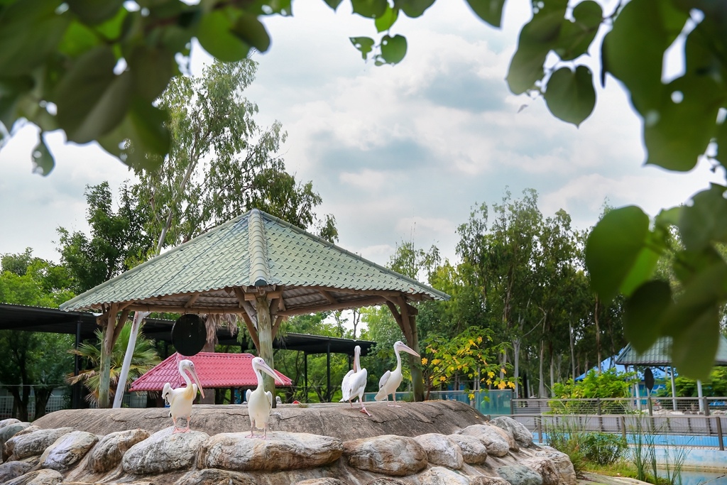 【兒童攝影 | 台南頑皮世界 】 踏青旅遊 By 阿斌師 ,尹林兒童,阿斌師,台南兒童攝影,台南兒童寫真,高雄兒童寫真,南部兒童攝影,高雄兒童攝影, 屏東兒童攝影,屏東兒童寫真,頑皮世界,戶外,親子寫真