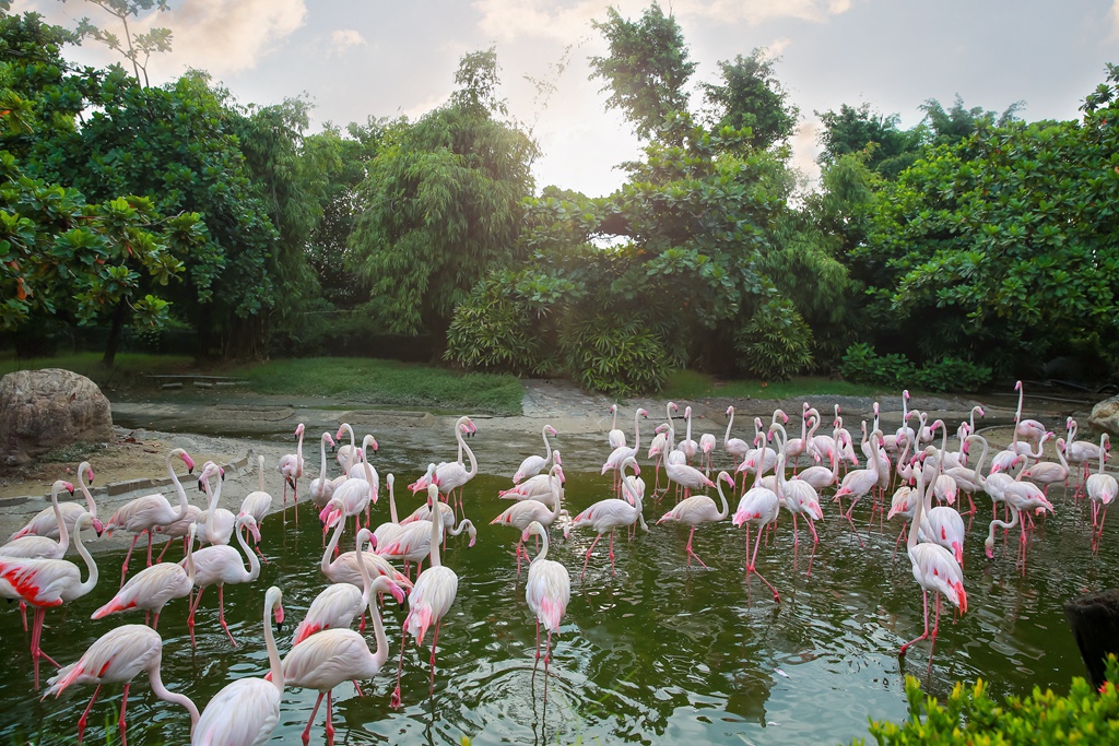 【兒童攝影 | 台南頑皮世界 】 踏青旅遊 By 阿斌師 ,尹林兒童,阿斌師,台南兒童攝影,台南兒童寫真,高雄兒童寫真,南部兒童攝影,高雄兒童攝影, 屏東兒童攝影,屏東兒童寫真,頑皮世界,戶外,親子寫真