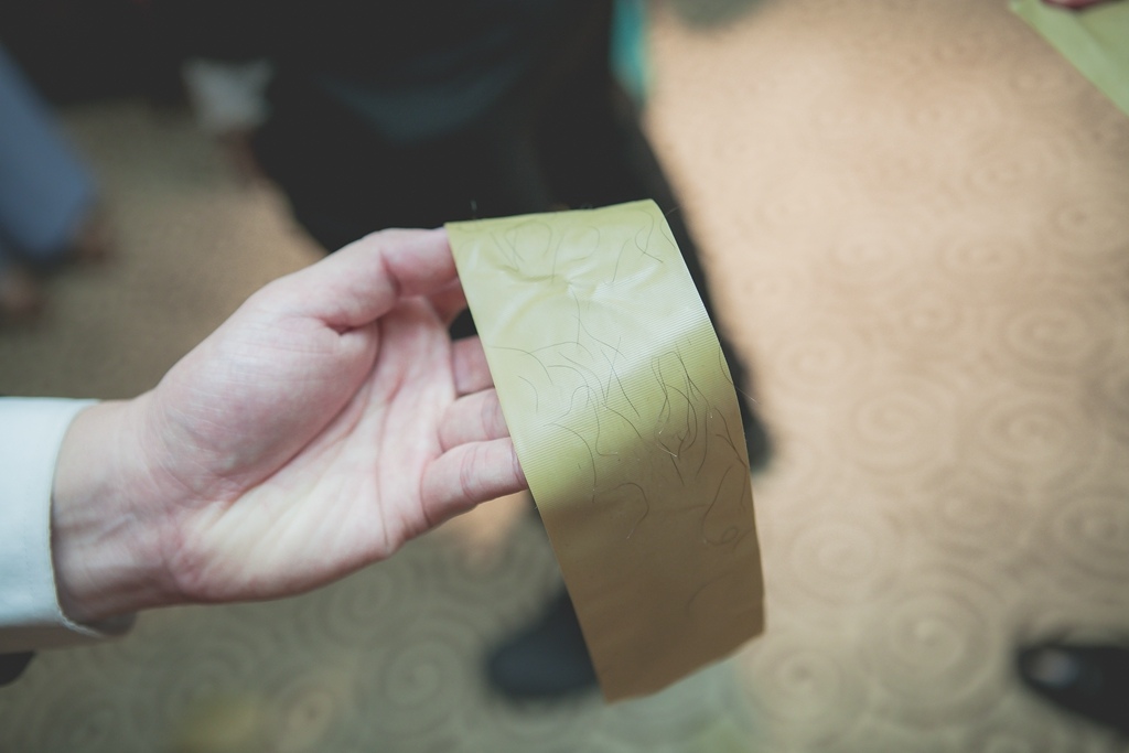 【台中婚攝 | 全國大飯店】誼帆 容榕 婚禮紀錄 婚攝 By 高橋 ,高橋婚攝,高橋婚禮紀錄, 婚攝尹林婚禮,婚禮紀錄,婚禮錄影,優質婚攝,口碑婚攝,結婚,迎娶,類婚紗,午宴