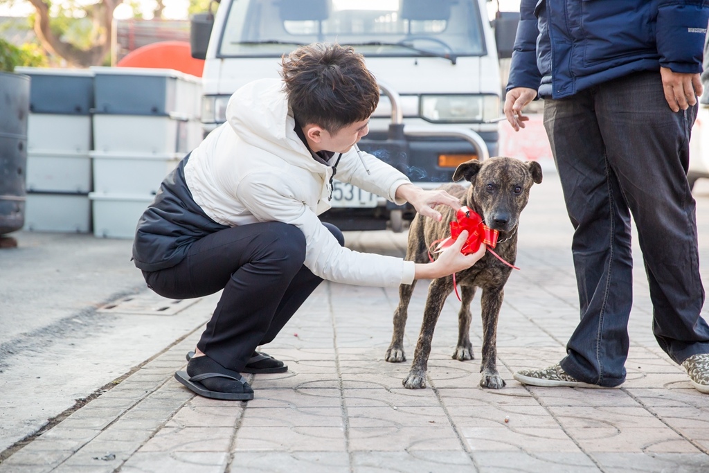 【屏東婚攝 | 自宅流水席】志誠 敬棠 婚禮紀錄 婚攝 By 阿斌師 ,尹林婚攝,尹林婚禮紀錄,屏東婚禮錄影,屏東優質婚攝,口碑婚攝,結婚,迎娶,類婚紗,午宴,流水席,專拍流水席