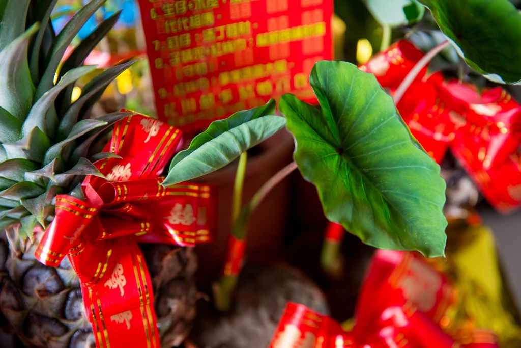 【屏東婚攝 | 九如宴會廳】家慶 毓珊 婚禮紀錄 婚攝 By 阿斌師,尹林婚攝,尹林婚禮紀錄,婚禮錄影,優質婚攝,口碑婚攝,結婚,迎娶,類婚紗,午宴