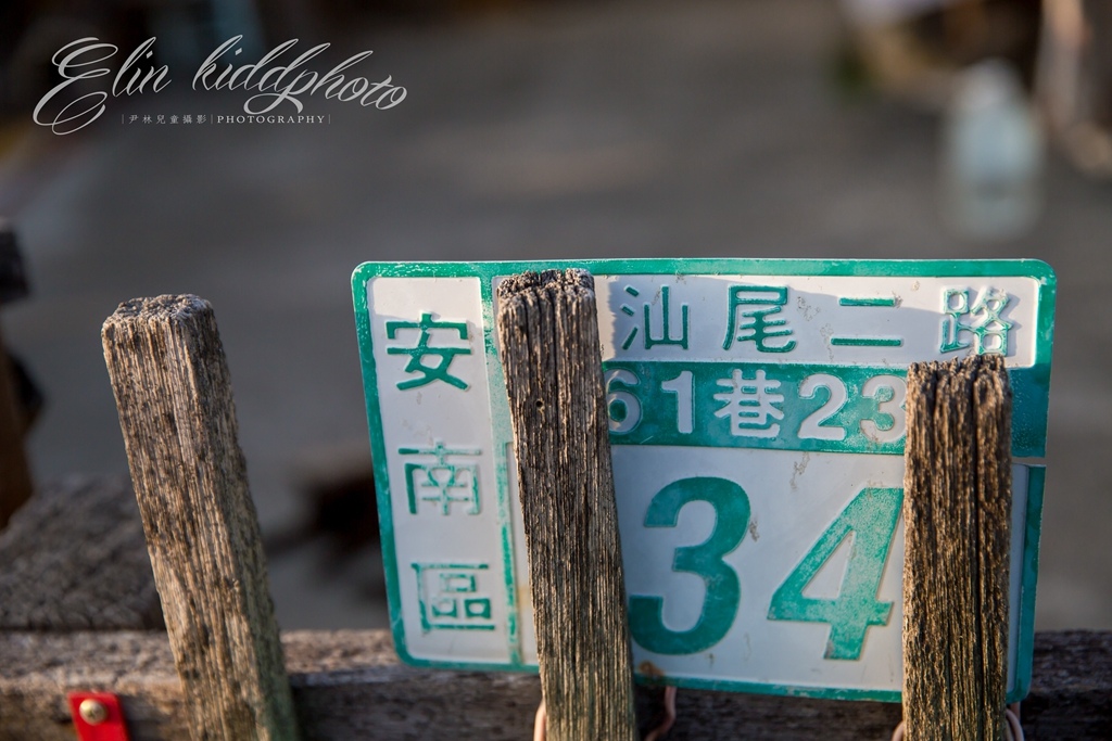 【台南拍照景點 | 安南台鹼宿舍貓村】By 阿斌師 