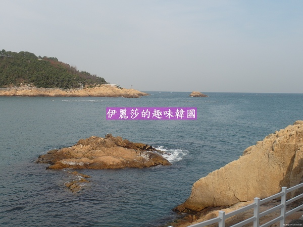 頭湖村 (7).jpg