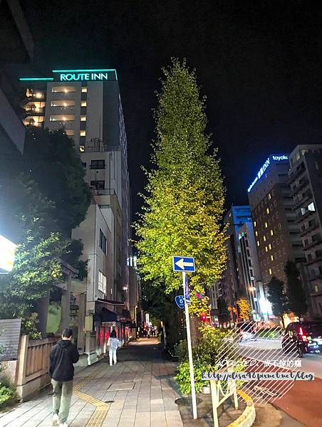 PXL_20241122_141339743_结果