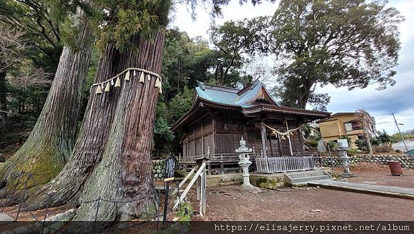 冬天的富士見之旅@10日自助行程X交通X住宿全紀錄