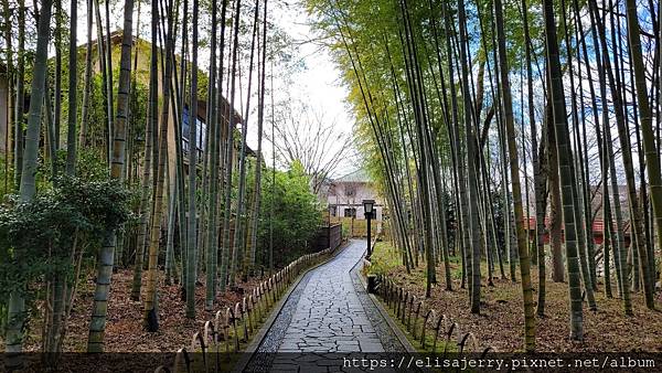 冬天的富士見之旅@10日自助行程X交通X住宿全紀錄