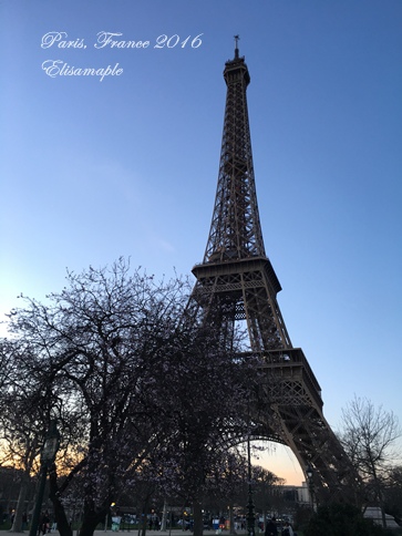 tour eiffel 03.JPG