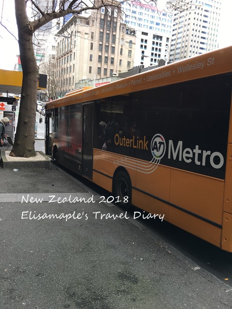 NZ20180020.JPG