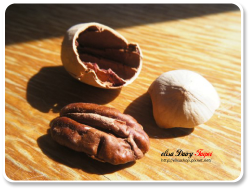碧根果,長壽果,美國山核桃,pecan 碧根果,長壽果,美國山核桃,pecan
