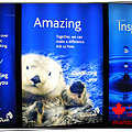 elisashop-Vancouver-Aquarium-05.png