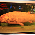 elisashop-Vancouver-Aquarium-07.png