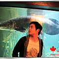 elisashop-Vancouver-Aquarium-06.png