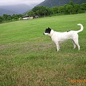 小點點