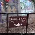 IMAG1306.jpg